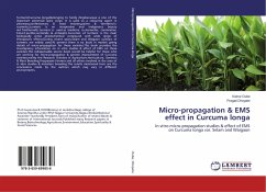 Micro-propagation & EMS effect in Curcuma longa