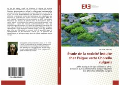 Étude de la toxicité induite chez l'algue verte Chorella vulgaris - Stanchev, Lachezar