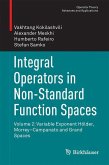 Integral Operators in Non-Standard Function Spaces