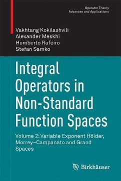 Integral Operators in Non-Standard Function Spaces - Kokilashvili, Vakhtang;Meskhi, Alexander;Rafeiro, Humberto