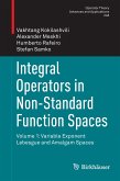 Integral Operators in Non-Standard Function Spaces