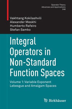 Integral Operators in Non-Standard Function Spaces - Kokilashvili, Vakhtang;Meskhi, Alexander;Rafeiro, Humberto