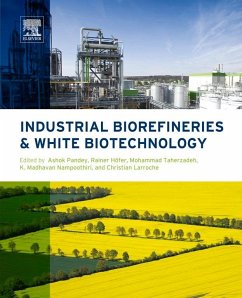 Cover Industrial Biorefineries and White Biotechnology (eBook, ePUB)