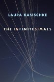 The Infinitesimals (eBook, ePUB)
