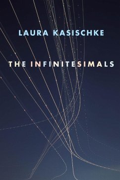 The Infinitesimals (eBook, ePUB) - Kasischke, Laura