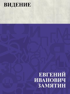 Cover Videnie (eBook, ePUB)