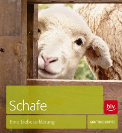 Schafe  - Kupitz, Gunthild