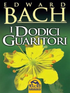 Cover I dodici guaritori (eBook, ePUB)