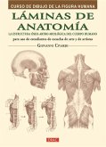 Láminas de anatomía : la estructura óseo-artro-miológica del cuerpo humano
