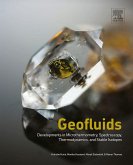 Geofluids (eBook, ePUB)