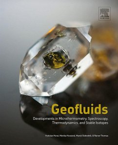 Cover Geofluids (eBook, ePUB)