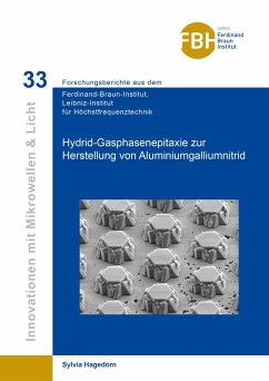 Hybrid-Gasphasenepitaxie zur Herstellung von Aluminiumgalliumnitrid - Hagedorn, Sylvia