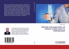 Cloning and expression of human insulin gene in baking yeast