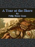 A Year at the Shore (eBook, ePUB)