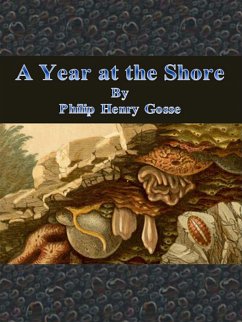 A Year at the Shore (eBook, ePUB) - Henry Gosse, Philip