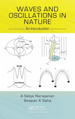 Cover Waves and Oscillations in Nature (eBook, PDF)
