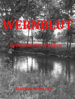 Wernblut (eBook, ePUB) - Herberich, Matthias
