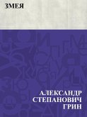Zmeja (eBook, ePUB)