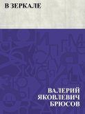 V zerkale (eBook, ePUB)