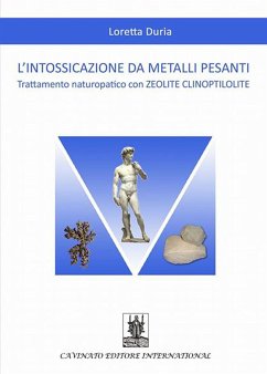 L'intossicazione da metalli pesanti: Trattamento naturopatico con ZEOLITE CLINOPTILOLITE (eBook, ePUB) - Duria, Loretta