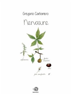 Nervature (eBook, ePUB) - Carbonero, Gregorio