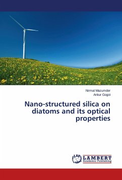 Nano-structured silica on diatoms and its optical properties