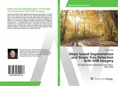 Objec based Segmentation and Single Tree Detection with VHR Imagery - Hess, Nicolas
