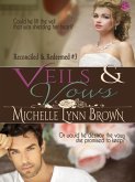 Veils and Vows (Reconciled and Redeemed, #3) (eBook, ePUB)
