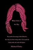 What Color Is the Sky (eBook, ePUB)
