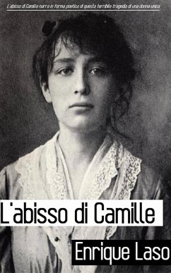 Cover L'abisso di Camille (eBook, ePUB)