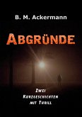 Abgründe (eBook, ePUB)