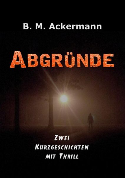 Abgründe (eBook, ePUB)