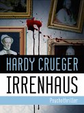 IRRENHAUS - Psychothriller (eBook, ePUB)