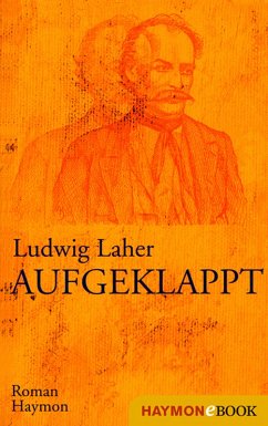Aufgeklappt (eBook, ePUB) - Laher, Ludwig