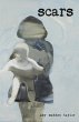 Scars (eBook, ePUB) - Bild 1