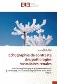 Echographie de contraste des pathologies vasculaires rénales