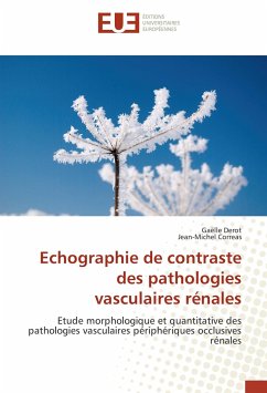 Echographie de contraste des pathologies vasculaires rénales - Derot, Gaëlle;Correas, Jean-Michel