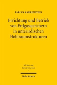 Errichtung und Betrieb von Erdgasspeichern in unterirdischen Hohlraumstrukturen - Karrenstein, Fabian