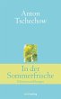 In der Sommerfrische (eBook, ePUB) - Bild 1
