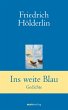 Ins weite Blau (eBook, ePUB) - Bild 1