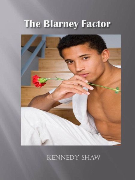 The Blarney Factor (eBook, ePUB) The Blarney Factor (eBook, ePUB)