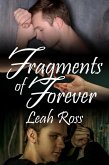 Fragments of Forever (eBook, ePUB)