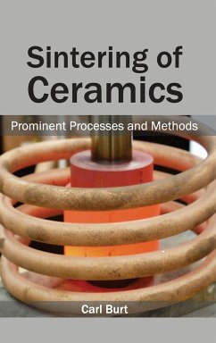 Sintering of Ceramics