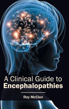 Cover A Clinical Guide to Encephalopathies