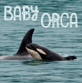 Baby Orca