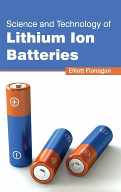 Science and Technology of Lithium Ion Batteries