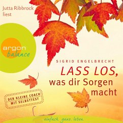 Lass los, was dir Sorgen macht (MP3-Download) - Engelbrecht, Sigrid