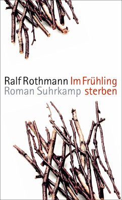 Im Frühling sterben (eBook, ePUB) - Rothmann, Ralf