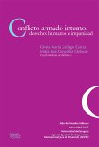 Conflicto armado interno, derechos humanos e impunidad (eBook, ePUB)