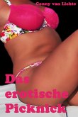 Das erotische Picknick (eBook, ePUB)